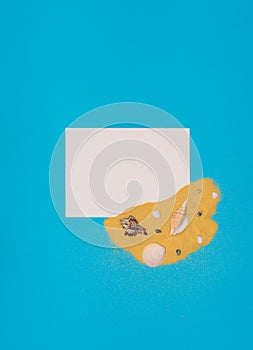 Different sea shells on bright yellow sand with white paper card note on blue background. Summer time concept. Flat lay