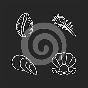 Different sea shells chalk white icons set on black background