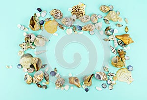 Different sea shells on a blue background