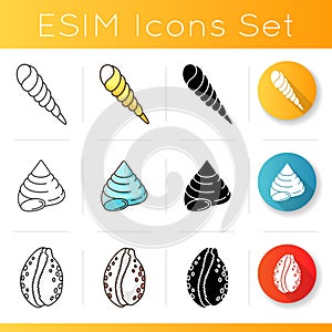 Different sea shells icons set