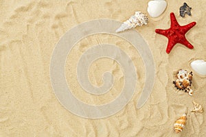 Different seashells on beach sand. Summer time concept with seashells and starfish on beach sandy background. Design