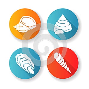 Different seashells flat design long shadow glyph icons set