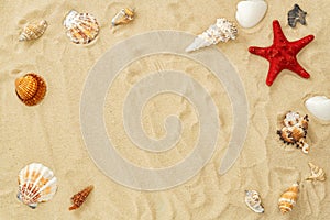 Different seashells frame on beach sand. Summer concept with seashells and starfish on beach sandy background. Design