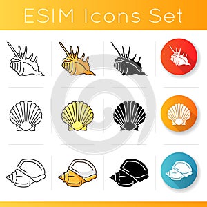 Different seashells icons set