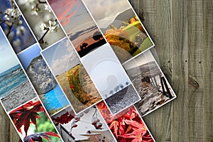 Different seasons collage made of variety of beautiful pictures