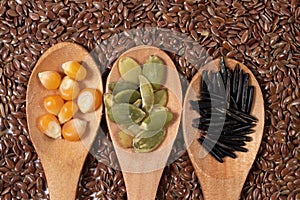 Different seeds -corn, squash, coffee- in wooden spoons on a surface of seeds and brown background
