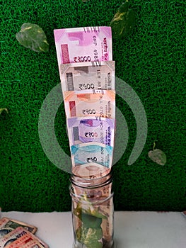 Different set of Indian rupees kept in glass bottle with money plants covered.