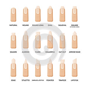 Different shapes of nails set. Collection of fashion female nail forms. Professional manicure. Vector illustration.