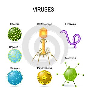 Different shapes of viruses photo