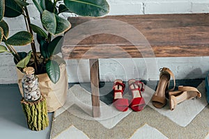 different shoes under wooden bench in corridor at home potted ficus