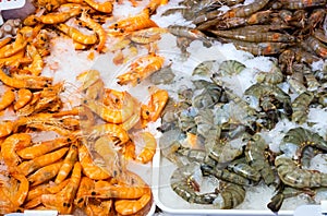 Different shrimps for sale