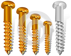Different size screws