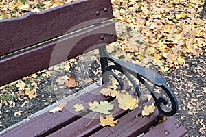 These are different-sized maple leaves, green and yellow on a brown bench.