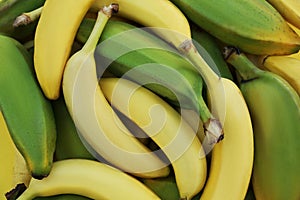 Different sorts of bananas as background, closeup photo