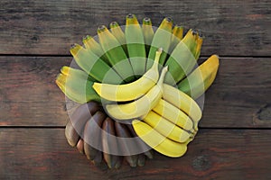 Different sorts of bananas on wooden table, flat lay