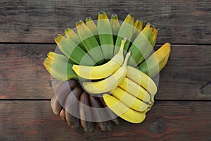 Different sorts of bananas on wooden table, flat lay photo