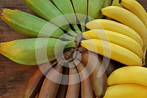 Different sorts of bananas on wooden table, top view photo