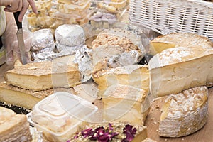 Different sorts of cheese wheels at a market