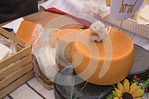 Different sorts of Italian cheese wheels at a market