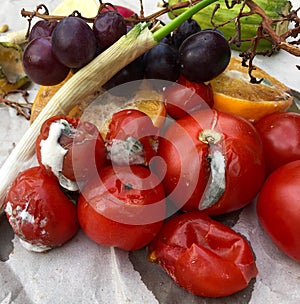 Different sorts of rotten fruit and vegetables