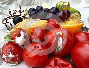 Different sorts of rotten fruits and vegetables on gray paper