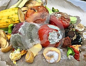 Different sorts of rotten fruits and vegetables on gray paper i