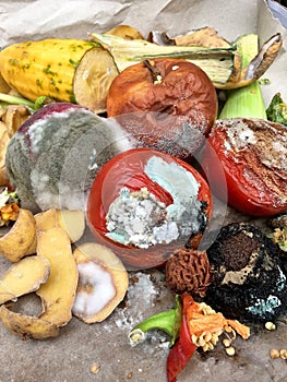 Different sorts of rotten fruits and vegetables on gray paper i