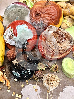 Different sorts of rotten fruits and vegetables on gray paper i