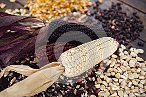 Different species and colors of corn on wooden table, selective blur