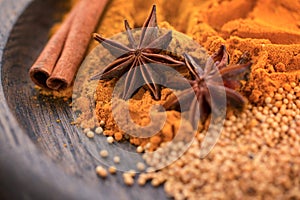 Different spices. Cinnamon sticks, star anise, mustard seeds and turmeric powder on a wooden plate . Macro