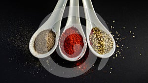 Different spices in dark background