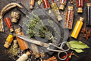 Different spices, dry kitchen herbs and seeds in glass vials for tasty meals