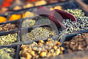 Different Spices and herbs including Lavender