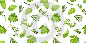 Different spices and herbs seamless pattern isolated on white background, top view