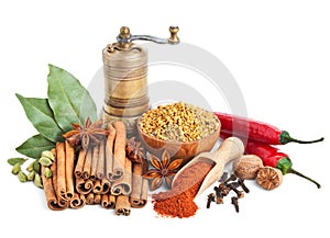 Different spices and herbs on white
