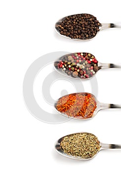 Different spices in iron spoons isolated on white