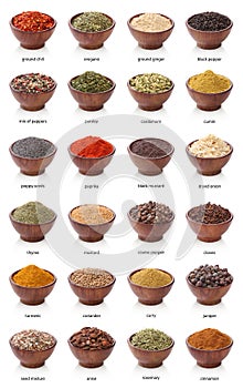 Different spices isolated on white background.