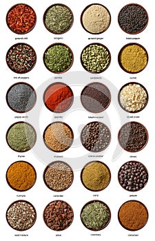 Different spices isolated on white background.