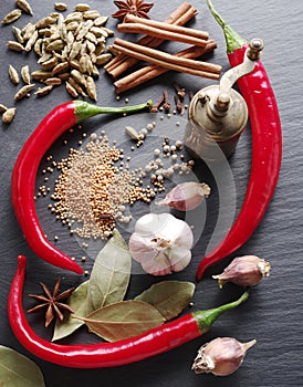 Different spices on rocked table.