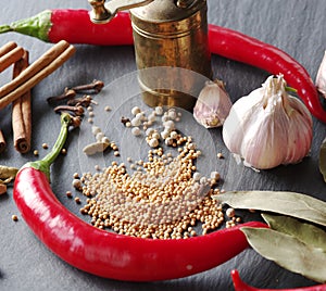 Different spices on rocked table.