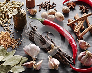 Different spices on rocked table.