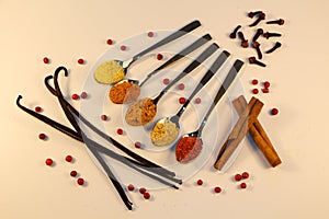 Different spices in teaspoon