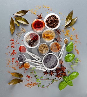 Different spices on a white background