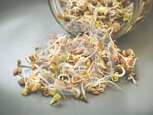 Different sprouting seeds or microgreens growing in a glass jar