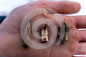 Different Stages and Forms of Bullets after Been Shot - Bent and Destructed with Ballistic Marks Held in Palm