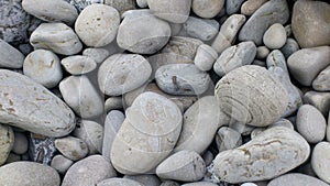 Different stones in size and figure