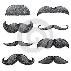 Different styles of male realistic mustaches set. Chevron, Dali, english, handlebar, imperial, lampshade, painter brush