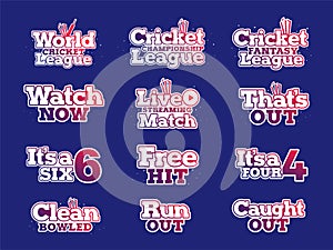 Different stylish jollity text of Cricket on  blue background.