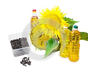 Different sunflower oil, sunflower seeds and flowers of sunflower