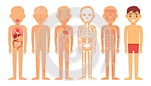 Different systems of human body diagram illustration